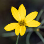 2000年开奖号码全记录与历史回顾 4vrwdd0v