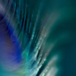 3D开奖历史结果查询与数据分析 kl7pnhf