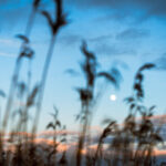 1月31日开奖彩票开奖结果查询 mmbf0u