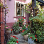 1套直播在线观看,精彩内容不容错过! mqn0zodq