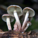 20018年开奖记录完整版及历史数据查询 qjx0ztsl