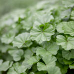 1月3日开奖日即将到来,幸运大奖花落谁家? qt8as