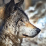 20007期彩票开奖结果最新公布与号码查询 szaziszjnq