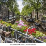 19日晚双色球开奖结果揭晓:头奖花落谁家引关注 uyo45dei3r