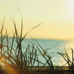 3d开奖号088历史开奖对应码查询与走势分析 wpu1xm0t