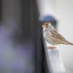 20003期体彩开奖结果最新公布完整版 x3hrs12if